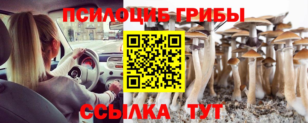 Галлюциногенные грибы ЛСД Урус-Мартан