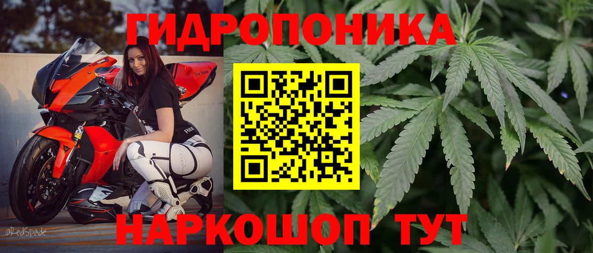 Каннабис индика  Вход с VPN  Урус-Мартан  Бошки Шишки Bruce Banner  Шишки марихуана марихуана  Каннабис OG Kush 